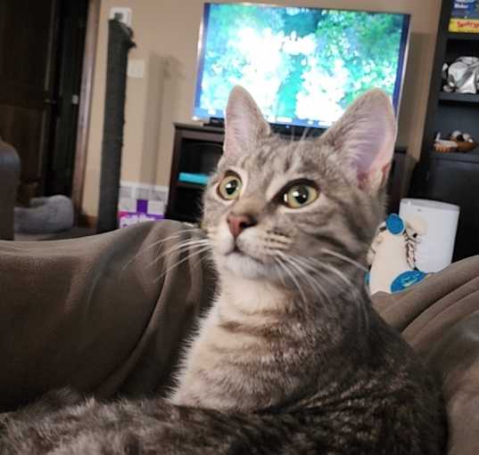 Photo of Lucky