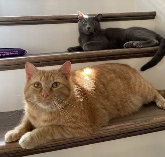 Photo of Solo and Mendez