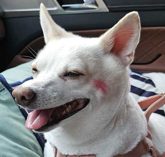 Photo of Binnie