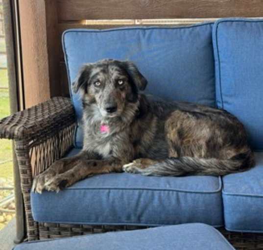 Photo of Aurora