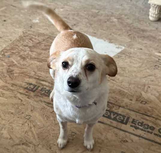 Photo of Missy