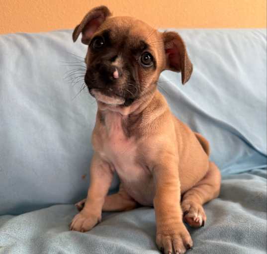 Photo of Nina