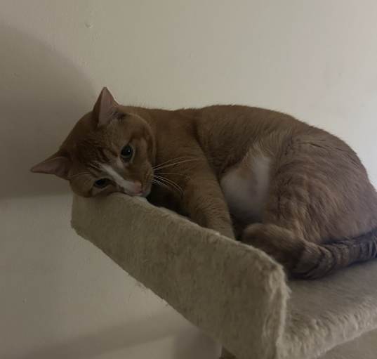 Photo of Spencer