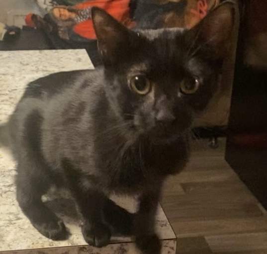 Photo of Coal