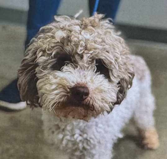 Photo of Murphy