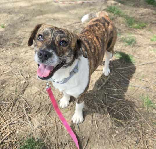 Photo of Penelope