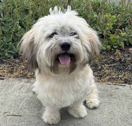Photo of Fozzie Bear