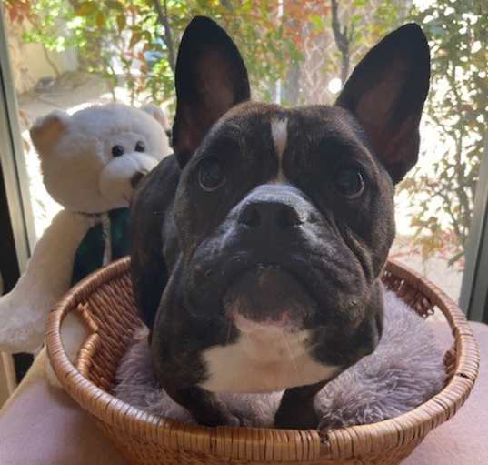 Photo of Sue