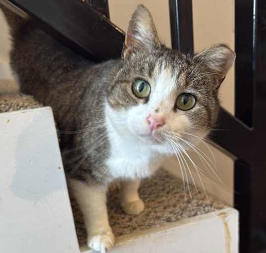 Photo of Dottie
