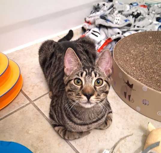 Photo of Gucci