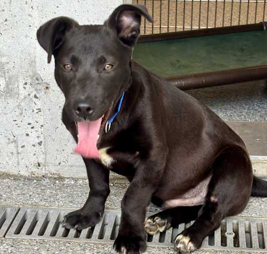 Photo of Otto