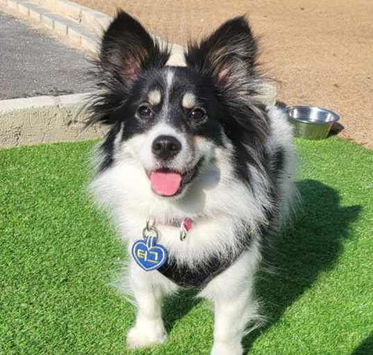 Photo of Tug