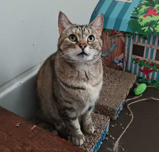 Photo of Hazel