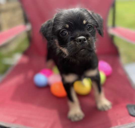 Photo of Tiny
