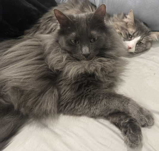 Photo of Frank & Stella