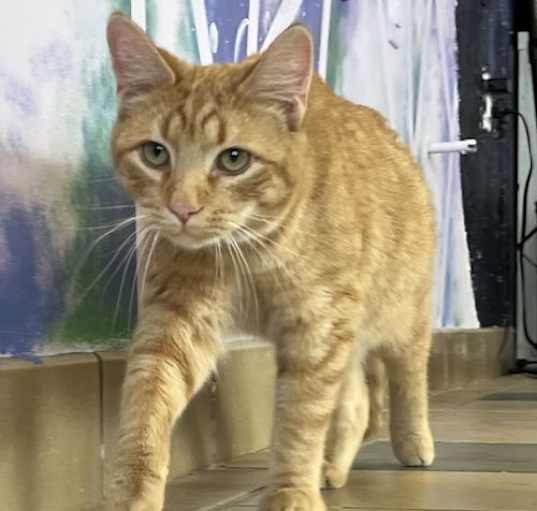 Photo of Turbo