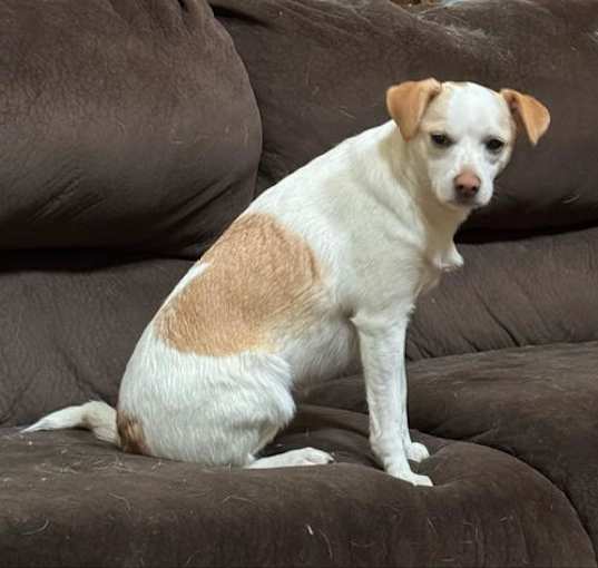 Photo of Ivy