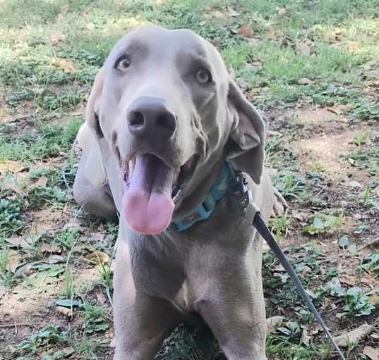Photo of ONIX
