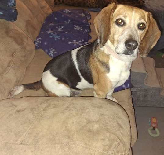 Photo of LACY