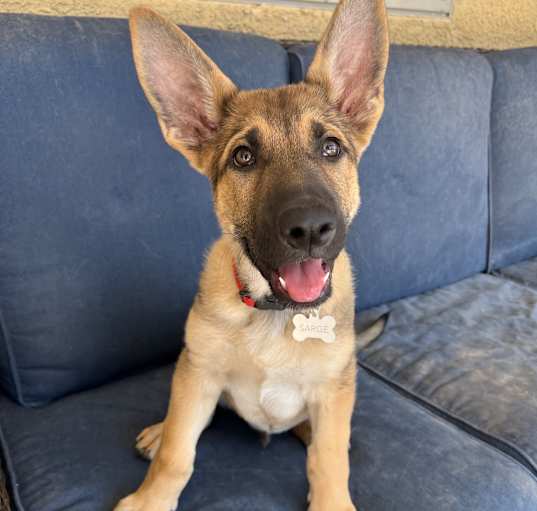 Photo of Kramer