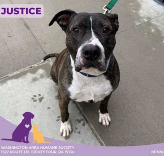 Photo of Justice