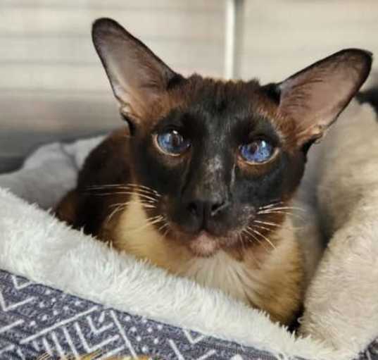 Photo of Stormy