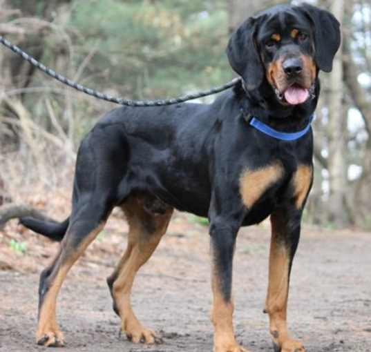 Photo of Tayson