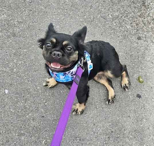 Photo of Bailee
