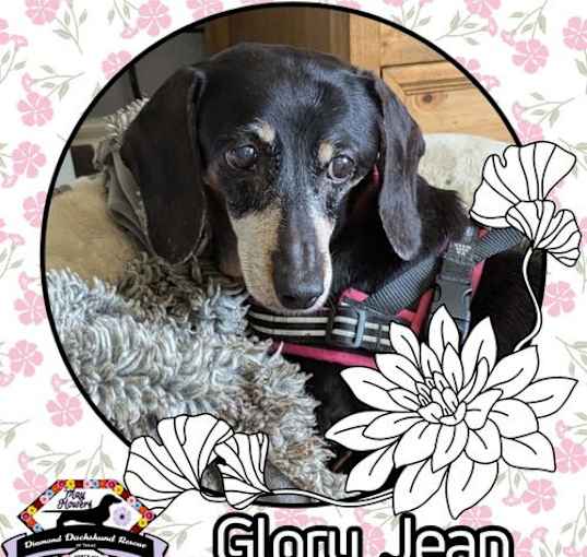 Photo of Glory Jean
