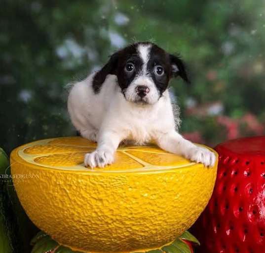 Photo of Tina
