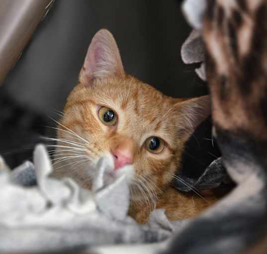 Photo of Jumanji