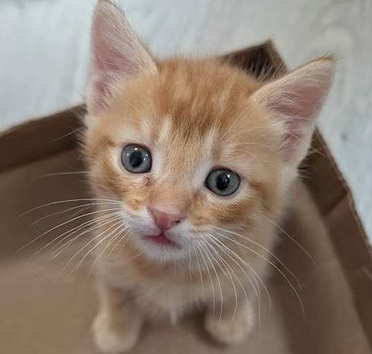 Photo of Tuna