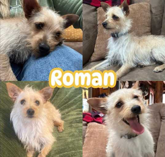 Photo of Roman