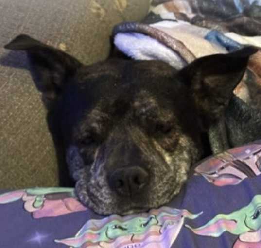 Photo of Wrexx