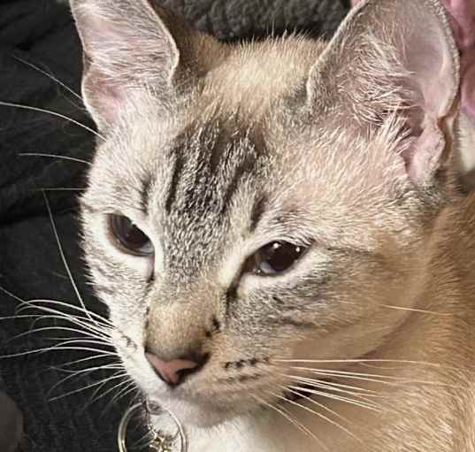 Photo of Aspen