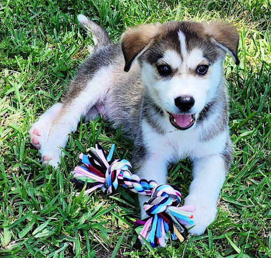 Photo of Sammie