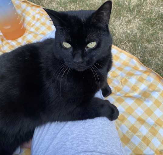 Photo of Stormy