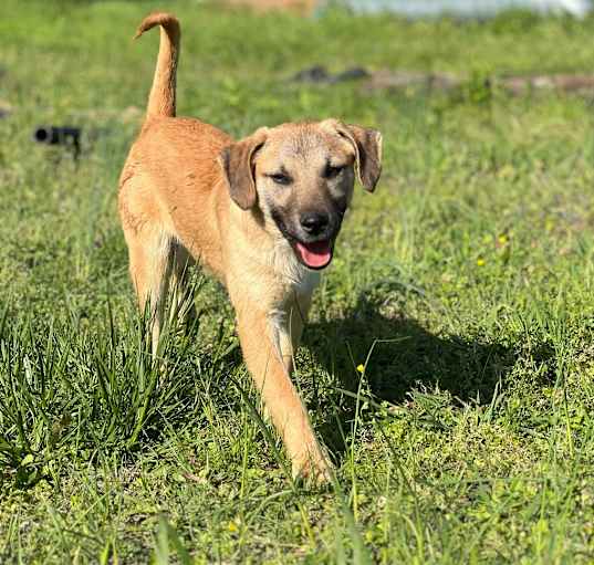 Photo of Lila 