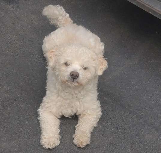Photo of Key-Key
