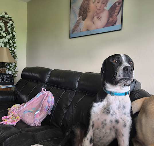 Photo of Max