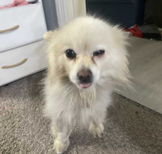 Photo of maikey