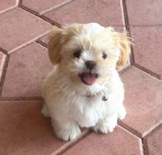 Photo of Gigi