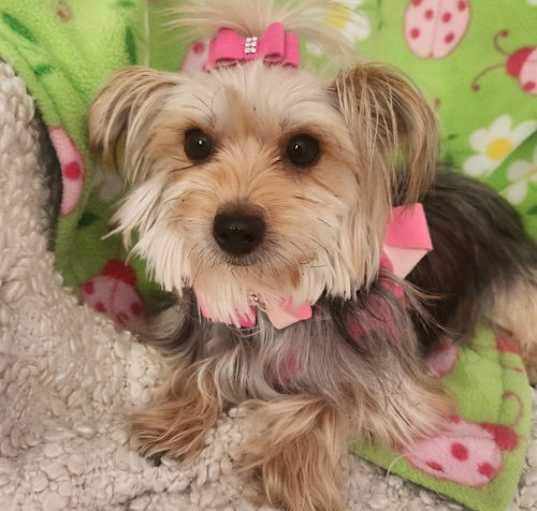Photo of Cami