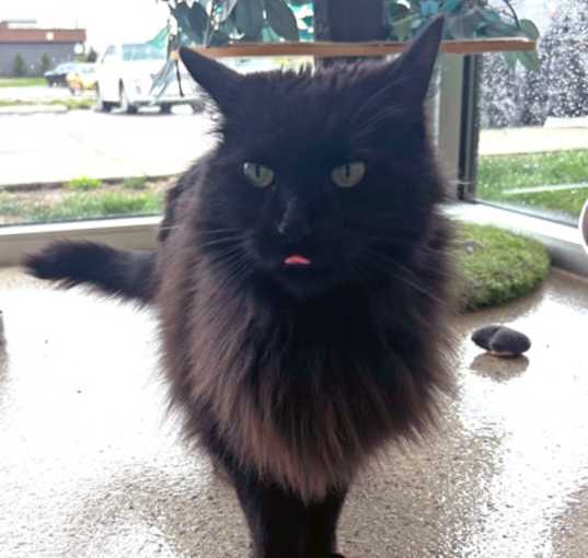 Photo of Binky