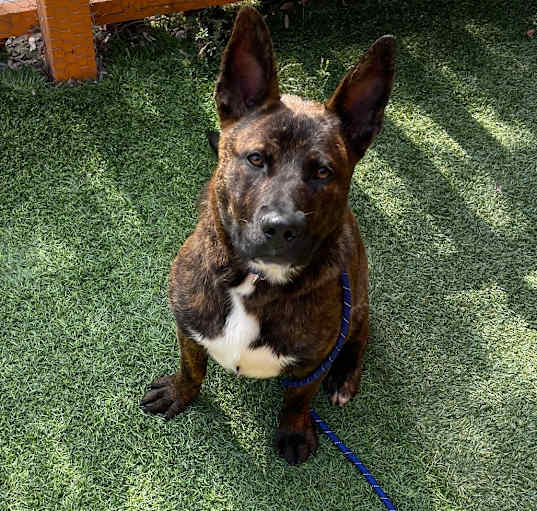 Photo of Terry A2187754