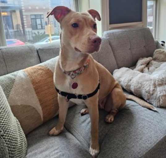 Photo of Mia