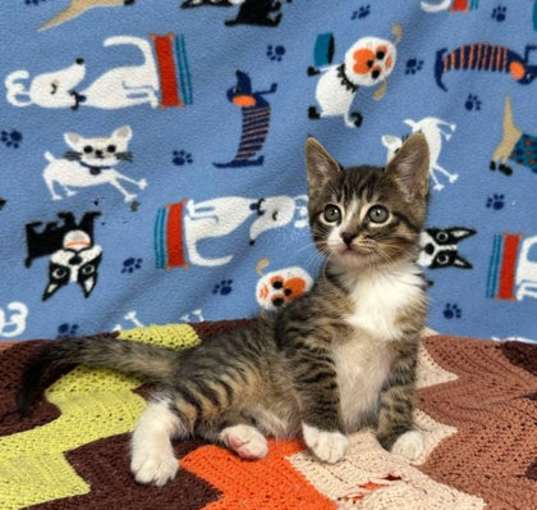 Photo of Oskar