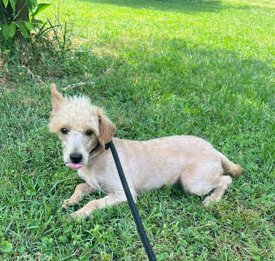 Photo of Woody