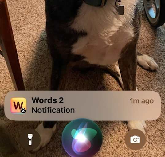 Photo of Chloe