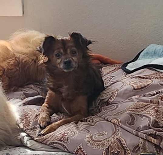 Photo of Essie